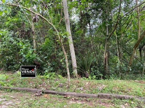 Terreno à venda em Igrejinha, Figueira, com 360 m²